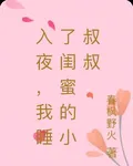 入夜，我睡了閨蜜的小叔叔 封面