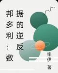 邦多利：數據的逆反 封面