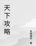 天下攻略 封面