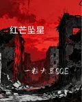 紅芒墜星 封面