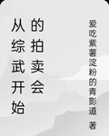 從綜武開始的拍賣會 封面
