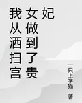 我從灑掃宮女做到了貴妃 封面