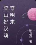 梁山好漢魂穿明末 封面