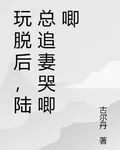 玩脫後，陸總追妻哭唧唧 封面