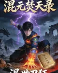 混元焚天錄 封面