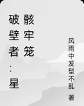破壁者：星骸牢籠 封面