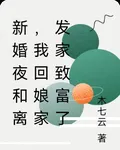 新婚夜和離，我回孃家發家致富了 封面