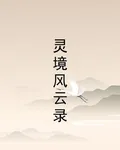 靈境風雲錄 封面