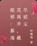 瓶邪：葬海花再開，藏盡前塵 封面