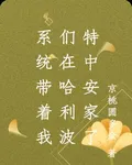 系統帶着我們在哈利波特中安家了 封面