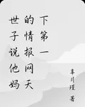 世子說他媽的情報網天下第一 封面