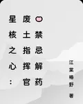 星核之心：廢土指揮官的禁忌解藥 封面