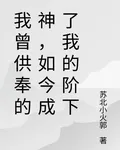 我曾供奉的神，如今成了我的階下 封面