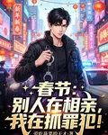 春節：別人在相親，我在抓罪犯！ 封面