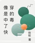 像是中了快穿的毒 封面