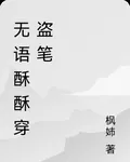 無語酥酥穿盜筆 封面