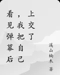 看見彈幕後，我把自己上交了 封面