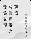 致命交鋒：總裁追妻火葬場 封面