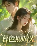 暮色照晴光 封面