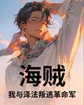 海賊：我與澤法叛逃革命軍 封面