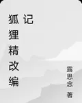 狐狸精改編記 封面