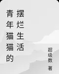青年貓貓的擺爛生活 封面