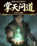 掌天問道 封面