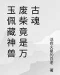 玉佩藏神獸廢柴竟是萬古魂 封面