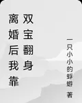 離婚後我靠雙寶翻身 封面