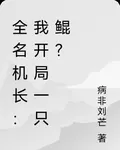 全名機長：我開局一隻鯤？ 封面