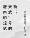 府南的煌武天武1號的新書 封面