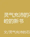 靈氣充沛的石崆的新書 封面