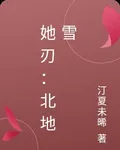 她刃：北地雪 封面