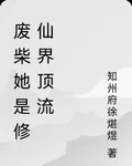 廢柴她是修仙界頂流 封面