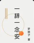 一辭一念安 封面