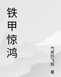 鐵甲驚鴻 封面