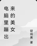 電腦裏蹦出來的美女 封面