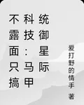 不露面只搞科技：馬甲統御星際 封面
