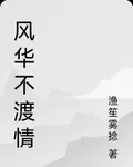 風華不渡情 封面