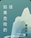 如果危險的話 封面