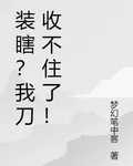 裝瞎？我刀收不住了！ 封面