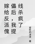 嫁給反派傀儡後，我提線殺瘋了 封面