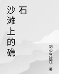 沙灘上的礁石 封面