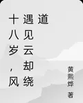 十八歲，風遇見雲卻繞道 封面