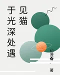 於光深處遇見貓 封面
