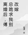 離婚後，傅總跪求我別改嫁 封面