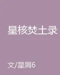 星核焚土錄 封面