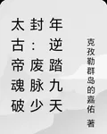 太古帝魂破封：廢脈少年逆踏九天 封面
