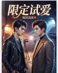 限定試愛 封面
