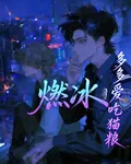 燃冰 封面